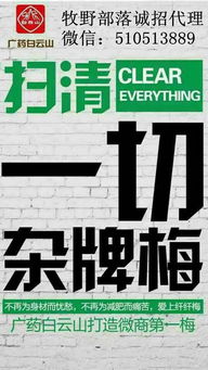 如何成为纤纤梅代理，结合国内旅游服务开拓业务